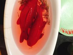 网红锦鲤-蜀江龙火锅(339店)