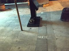 -成记海鲜粥(意大利风情街店)