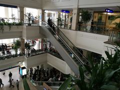 -上海市东方医院(总院)