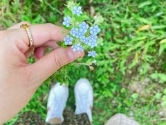 -南京市无想山景区