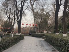 -莲湖公园