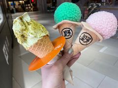 -野人先生现做冰淇淋(北京环宇荟店)