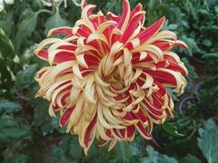 -上海市龙华烈士陵园