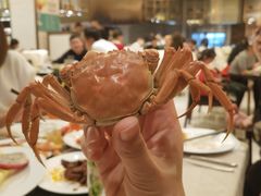 -东方红海鲜百汇(国际大厦店)