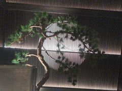 -大拙里·精致融合菜(沙湖桃源国际店)