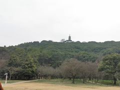 -苏州上方山国家森林公园