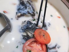 -全乐鱼馆·淳牌有机鱼直营店