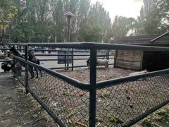 -长白岛森林公园