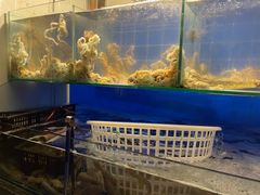-东海章鱼馆(恒瑞街店)