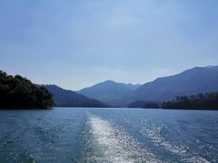 -广州市流溪河国家森林公园