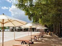 -东钱湖旅游度假区