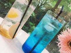 -CHEZ JASMINE 茉莉的氧气厨房