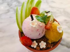 盆栽冰淇淋-哈根达斯(龙湖时代天街店)