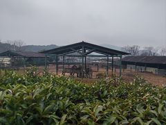 -无锡动物园·太湖欢乐园