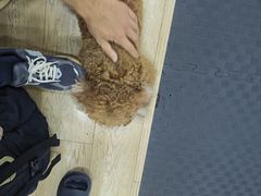 -FIGHTMAN格斗俱乐部(长宁临空店)