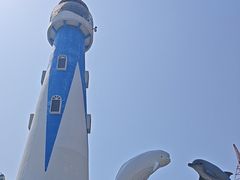 -大连圣亚海洋世界