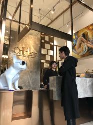 -OnHair Salon