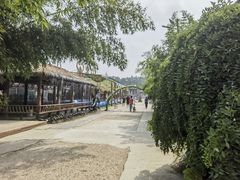 -呀路古热带植物园