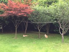 -上海汾阳花园酒店