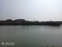 -西京湾花海