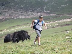 -灵山