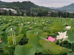 -古田会议纪念馆