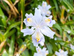 -南山风景名胜区