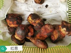 -翕庐小苑