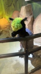 -酷嗒动物文化乐园(cutezoo西溪乐天城店)