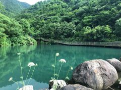-东海大峡谷