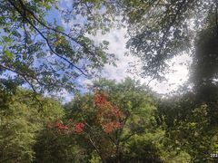 -本溪老边沟风景区