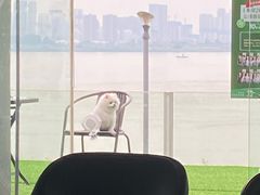 -游心咖啡(青山滨江店)