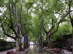 -静安公园(静安寺街道)