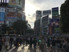 -涩谷区