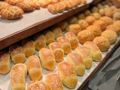 -香港港丽酒店