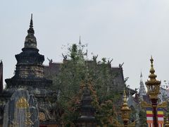-西双版纳总佛寺