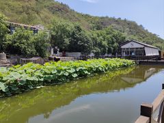 -荷塘味道(水长城店)