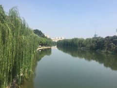 -运河游船(武林门码头)