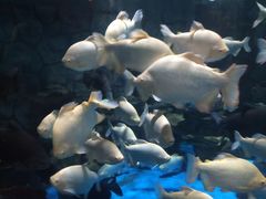 -多彩贵州城极地海洋世界