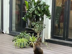 -EATALIA意塔利意式餐厅(鼓楼店)