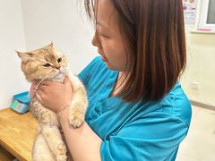 -美迦爱-牙专科·兔科·骨科诊疗中心(北苑店)