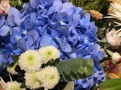 -上海星瀚奔驰4S店(红柳路店)