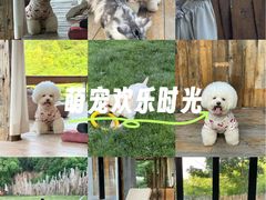 -白鹿原影视城