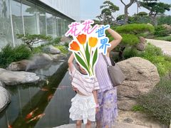 -罗红摄影艺术馆