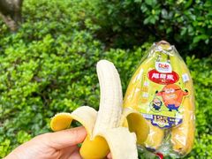 -Olé精品超市(广州太古汇店)
