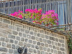 -瓦库茶馆17号(海汇港店)