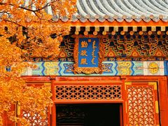 -香山公园