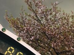 -南浦大桥长途旅游客运站