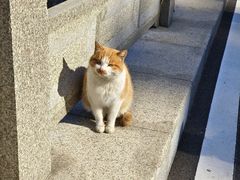 -南京金牛湖风景区