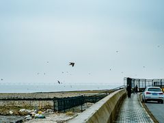 -南汇嘴观海公园